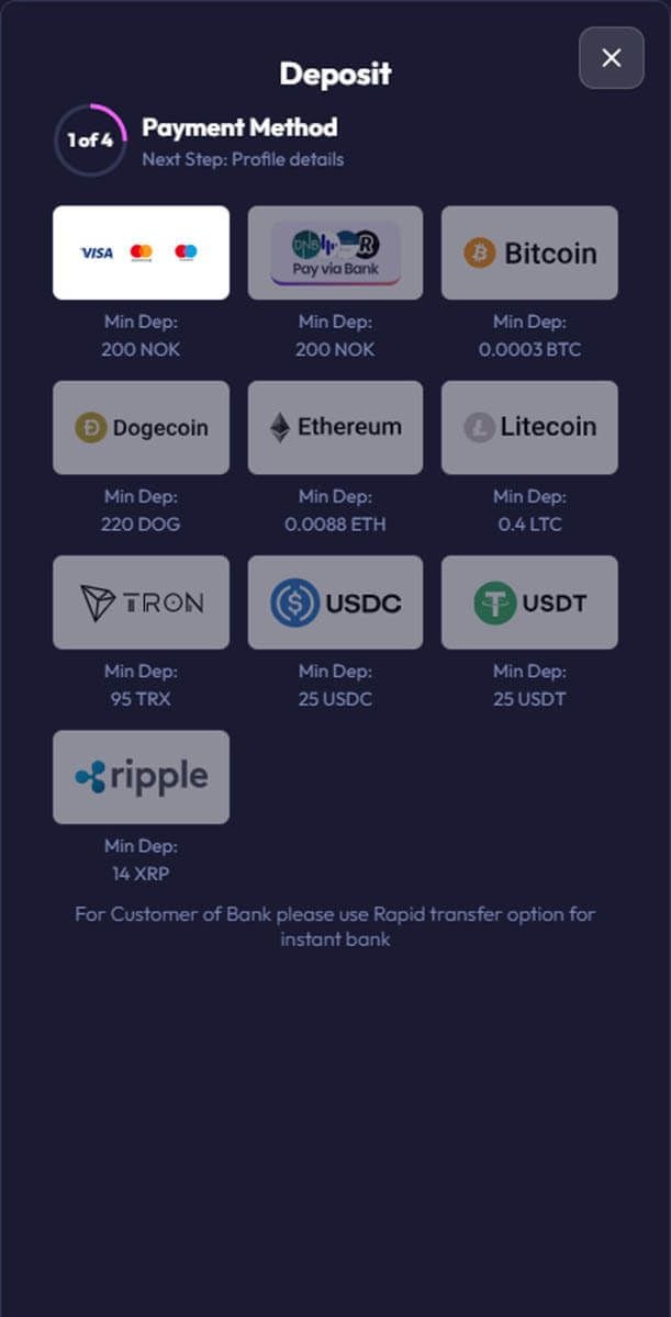Spinrise Casino Payments