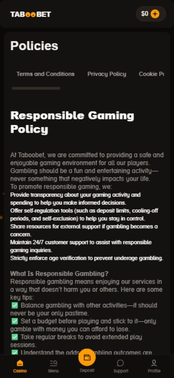 Taboobet Casino Responsible Gambling Tools