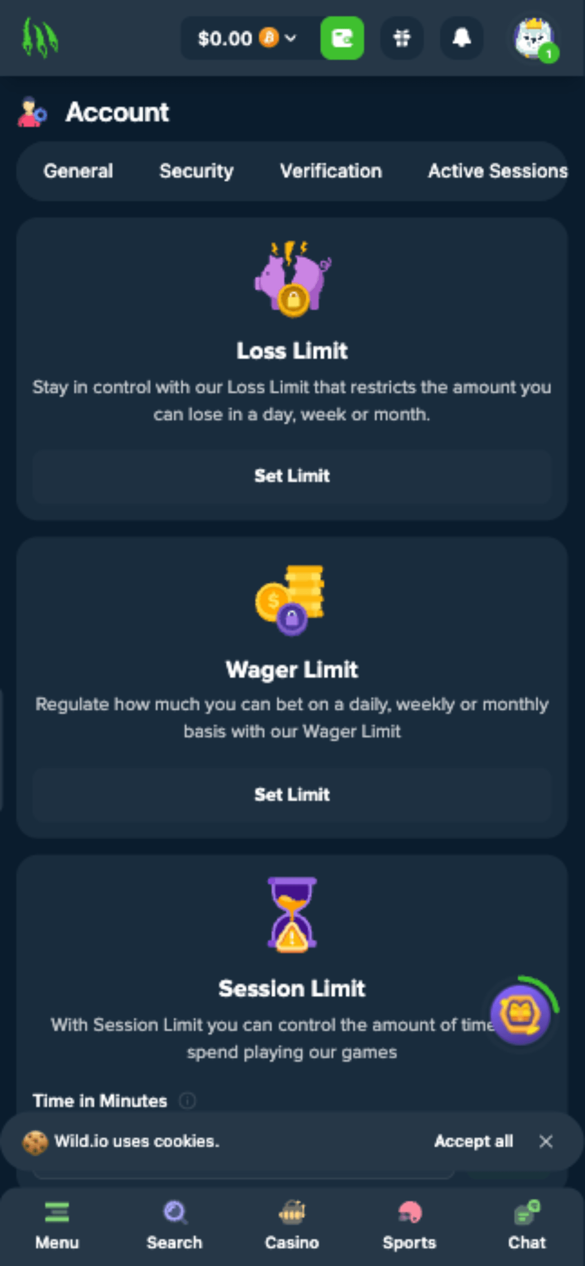 Wild.io Casino Responsible Gambling Tools
