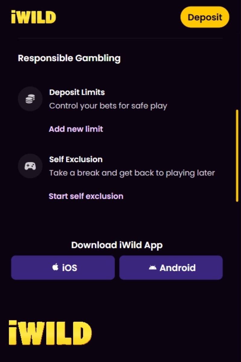 iwild casino Responsible Gambling Tools