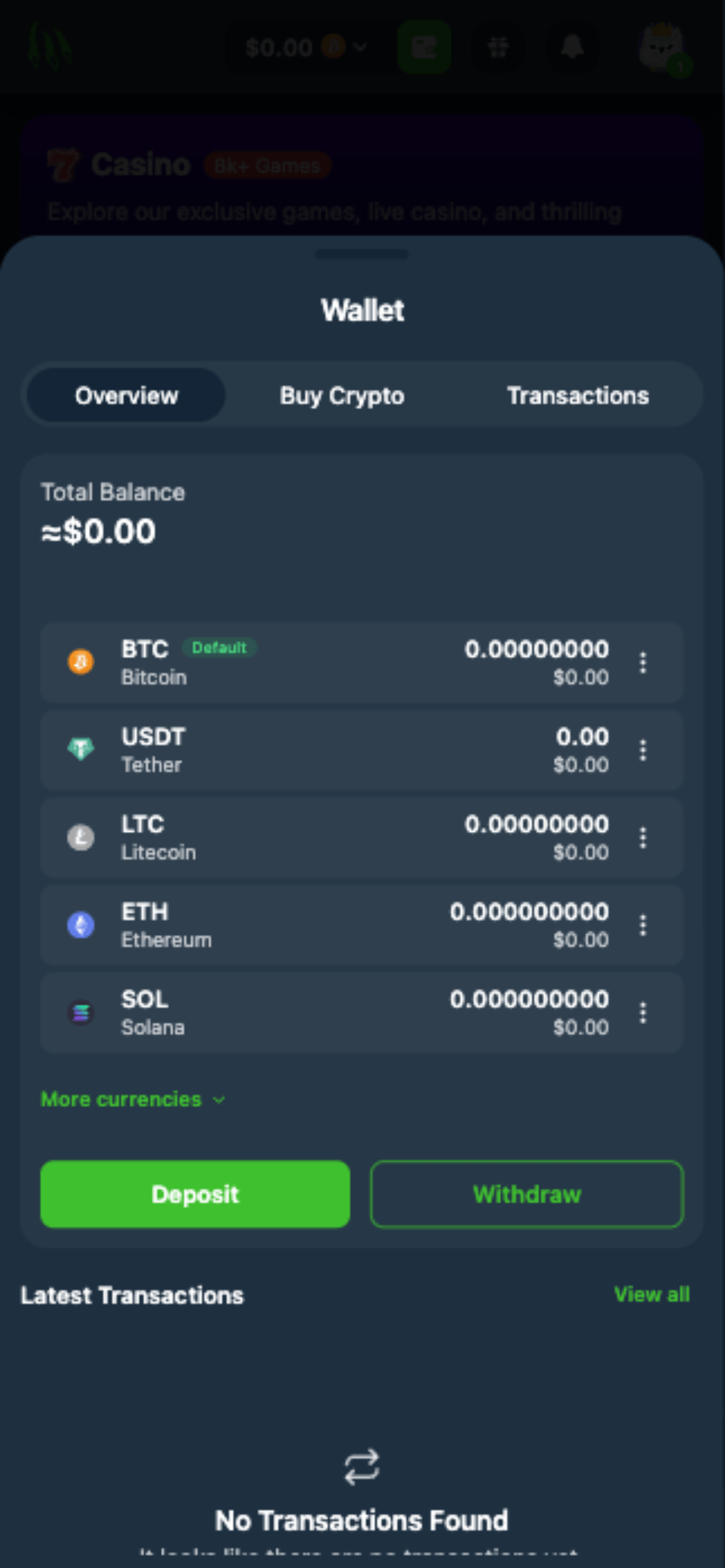 Wild.io Casino Payments