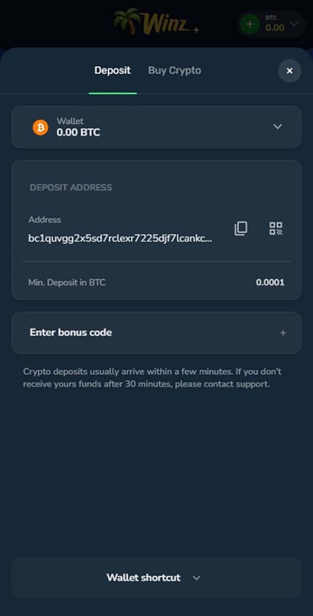 Winz.io Casino Payments