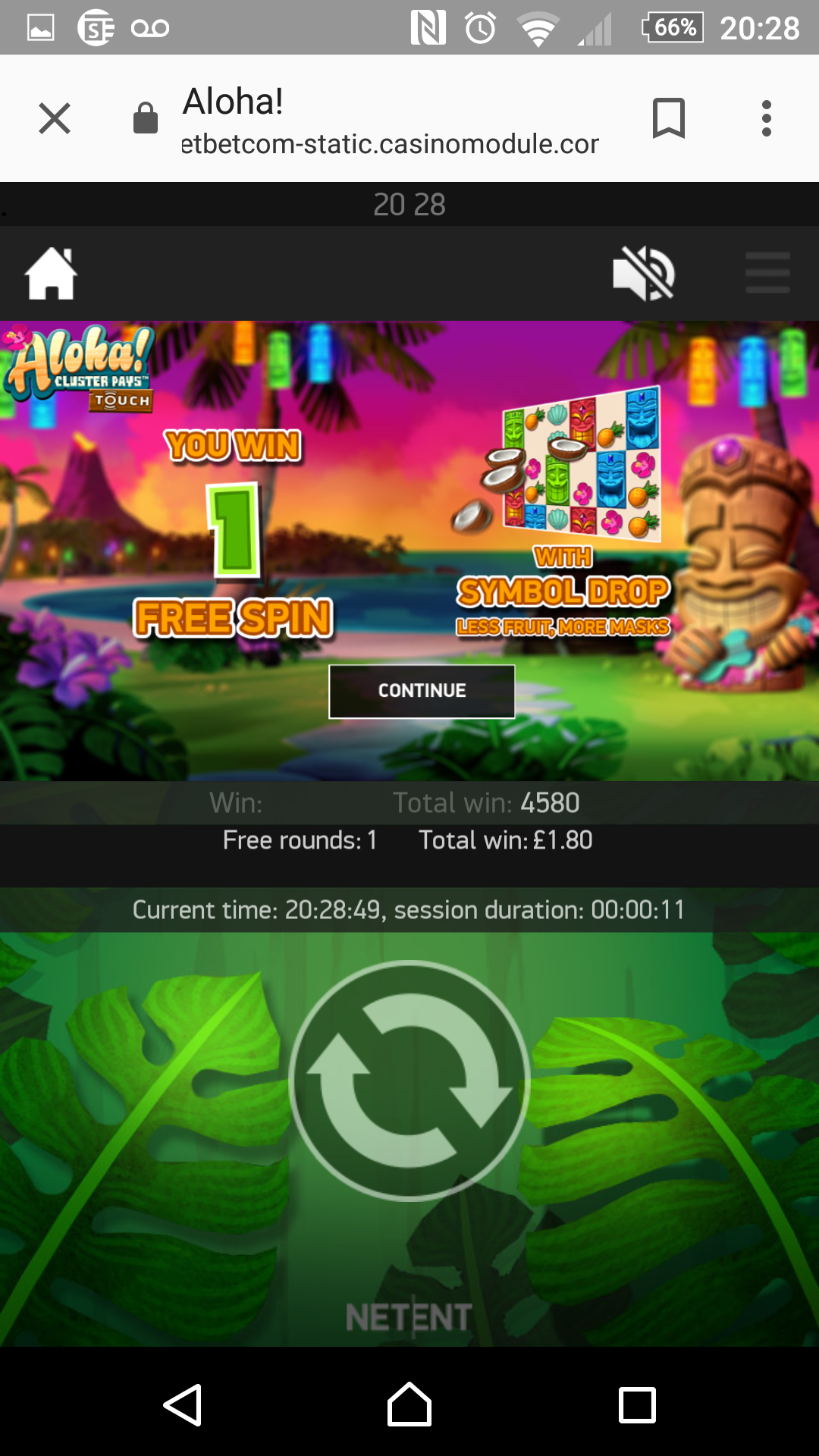 NetBet Casino - Software glitch won't let me finish my free spins ...