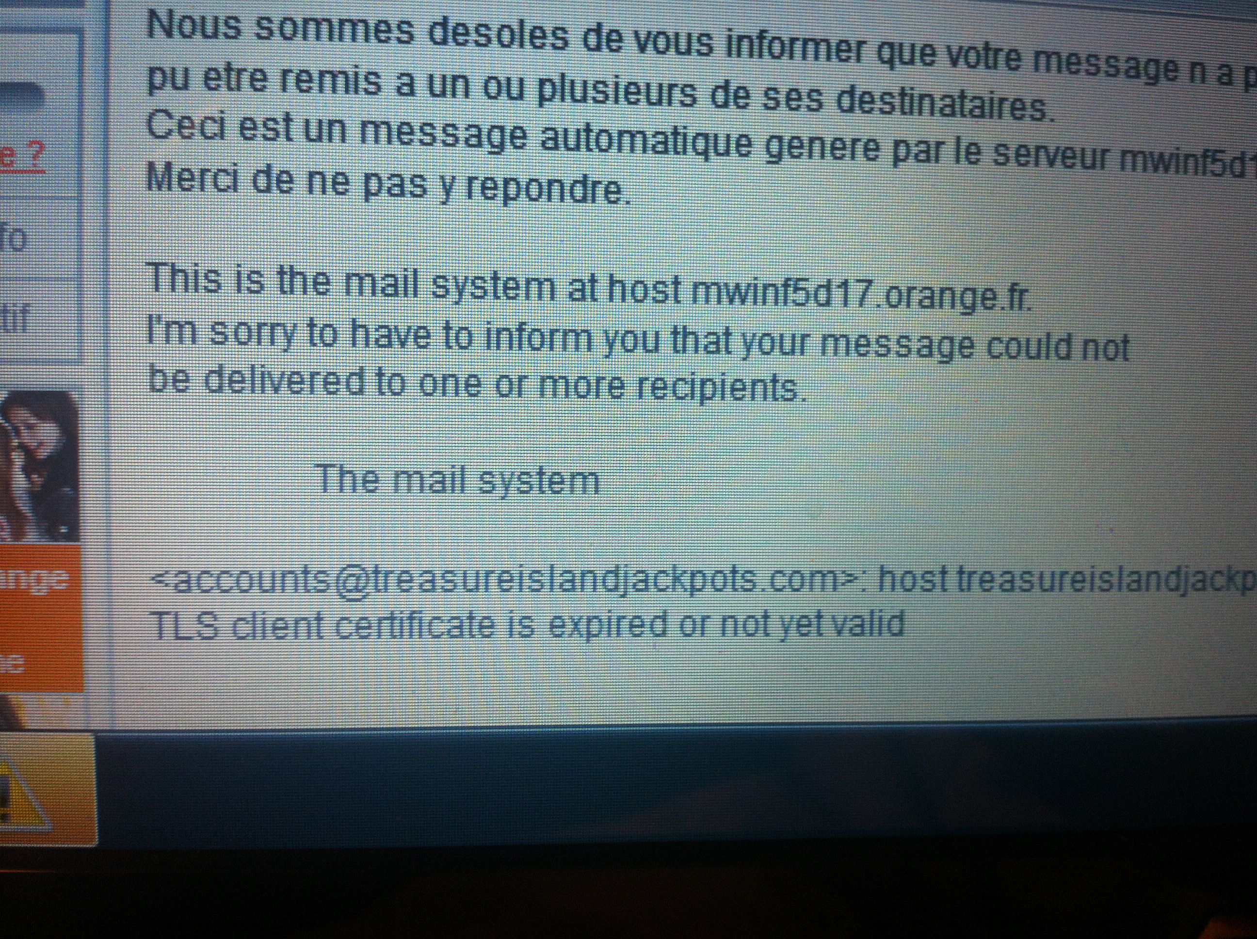Chat et adresses fausses 003.JPG