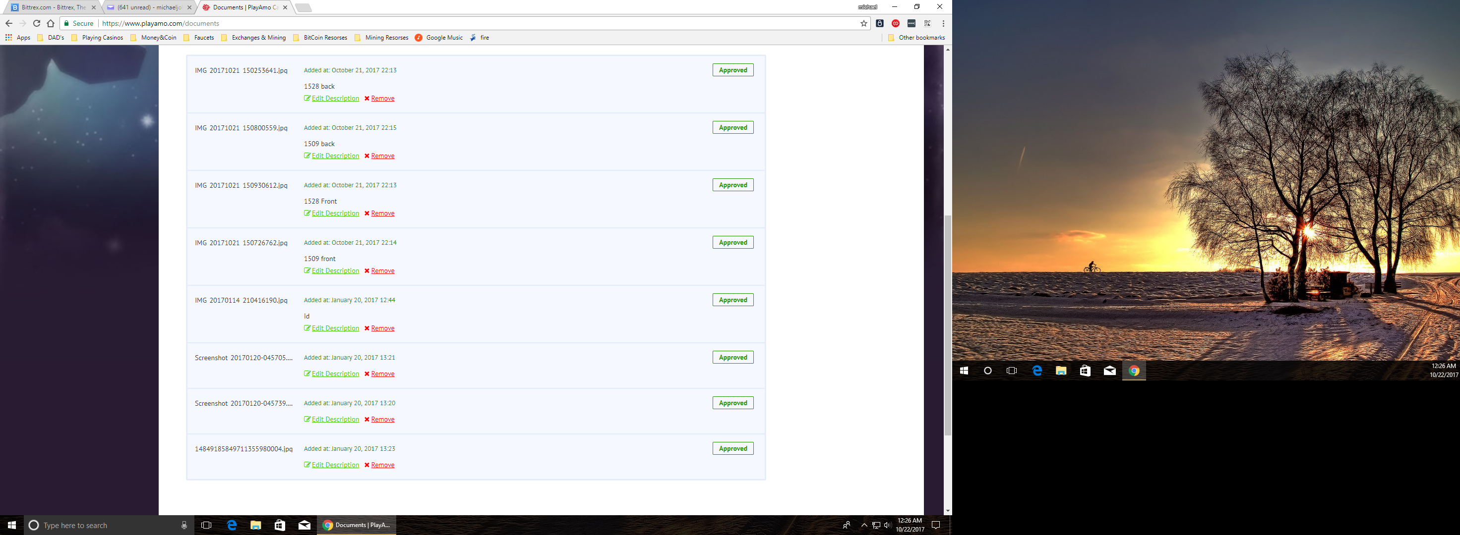 Screenshot 3.png