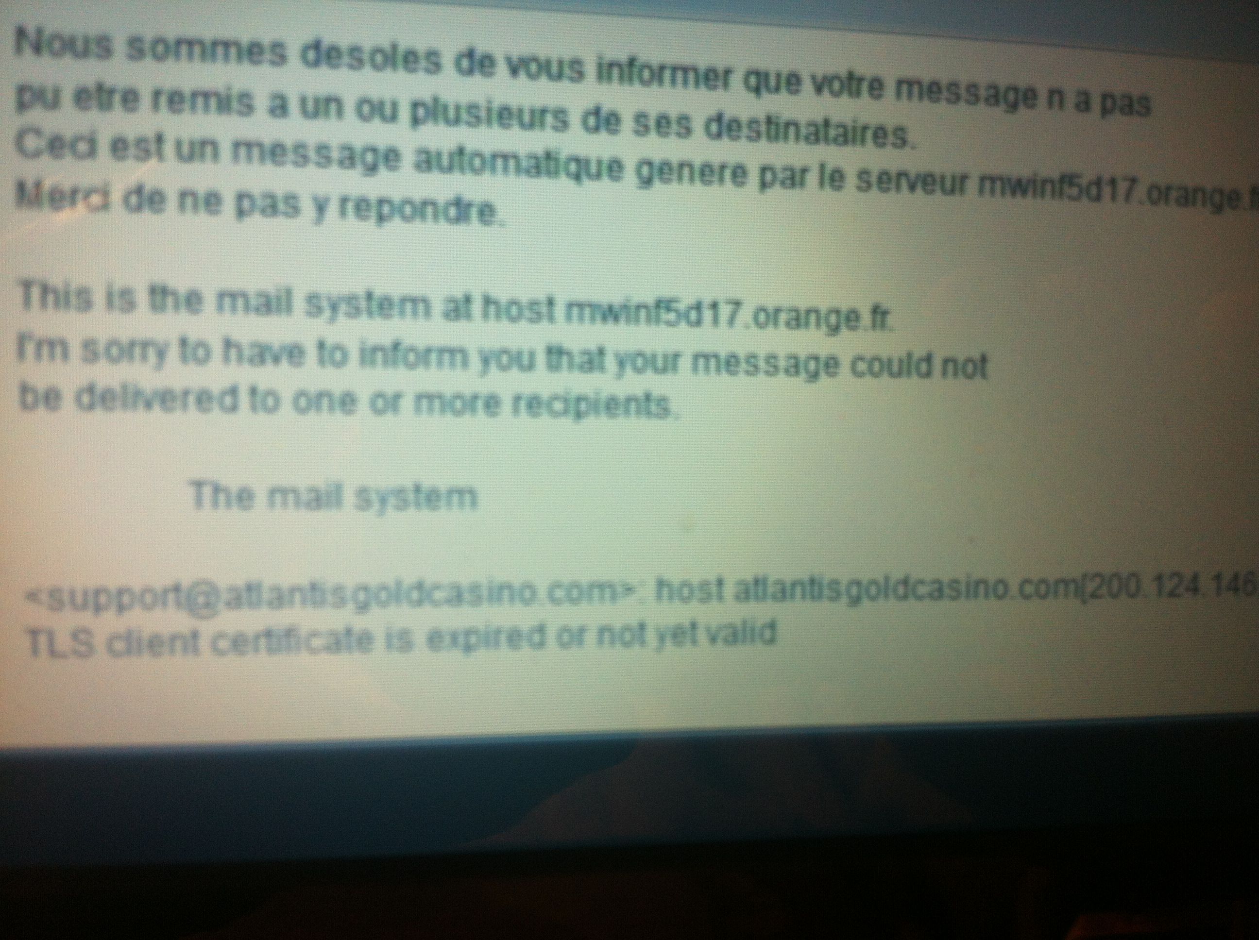 Chat et adresses fausses 002.JPG