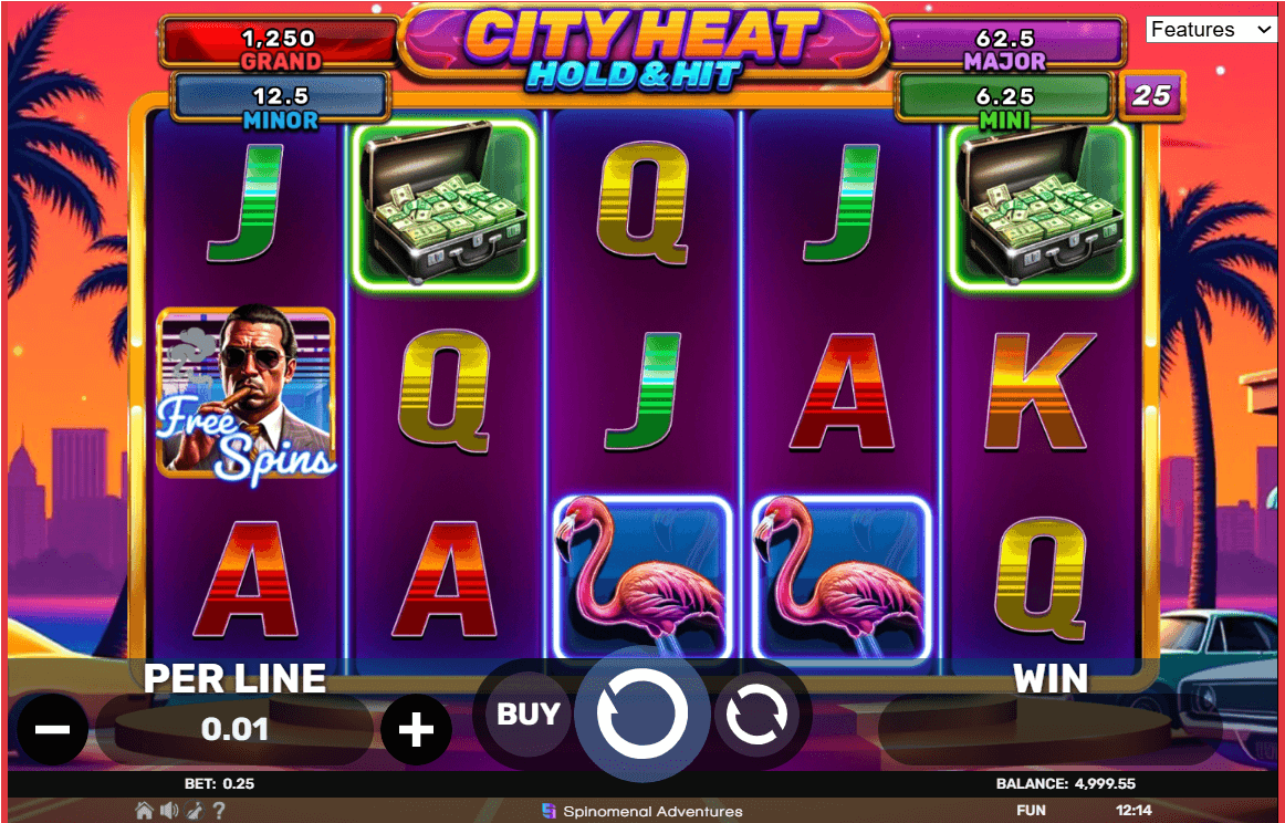 City Heat Hold and Hit Slot