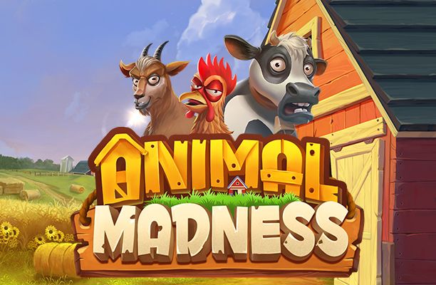 Slot Animal Madness