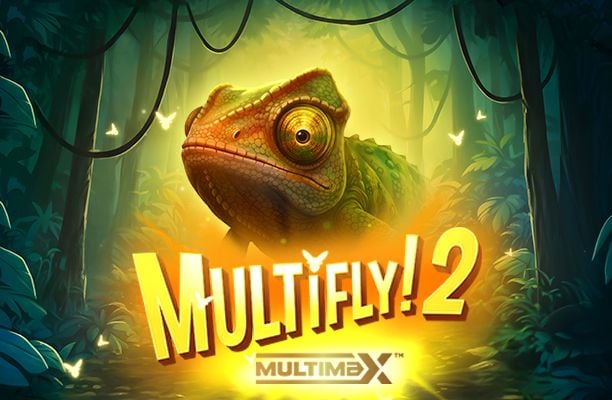 Multifly 2 Slot