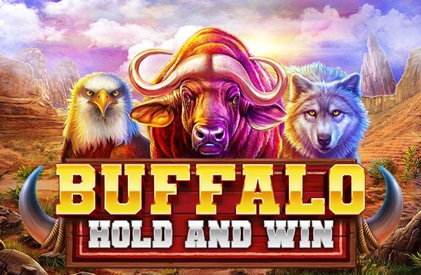 Buffalo Hold and Win Slot