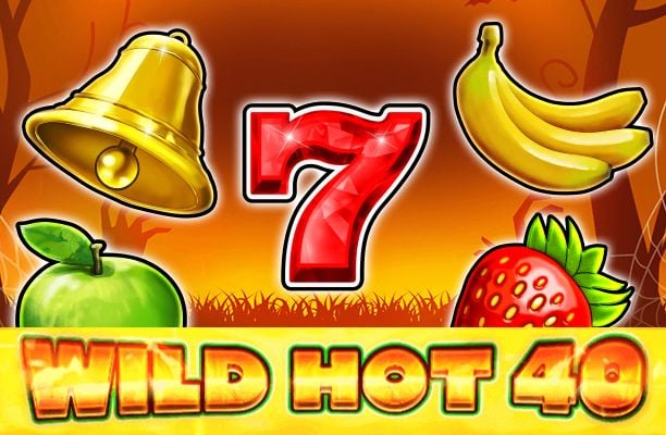 Wild Hot 40 Halloween Slot