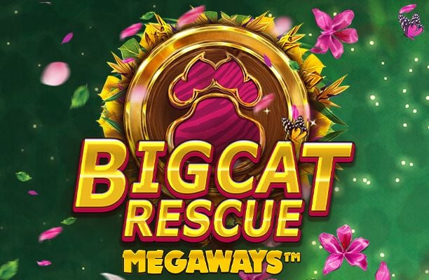 Slot Big Cat Rescue MegaWays