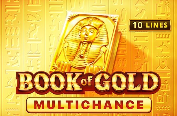 Slot Book of Gold: Multichance