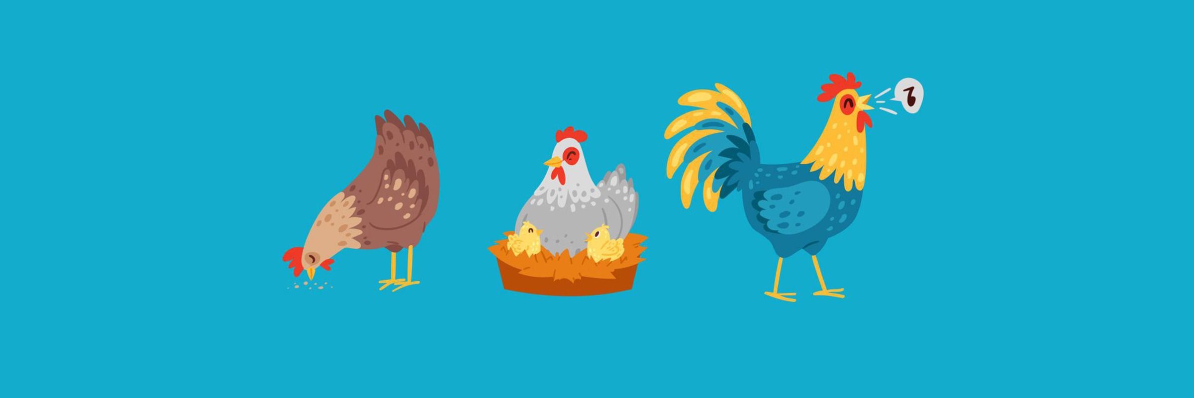Gallina Gallina