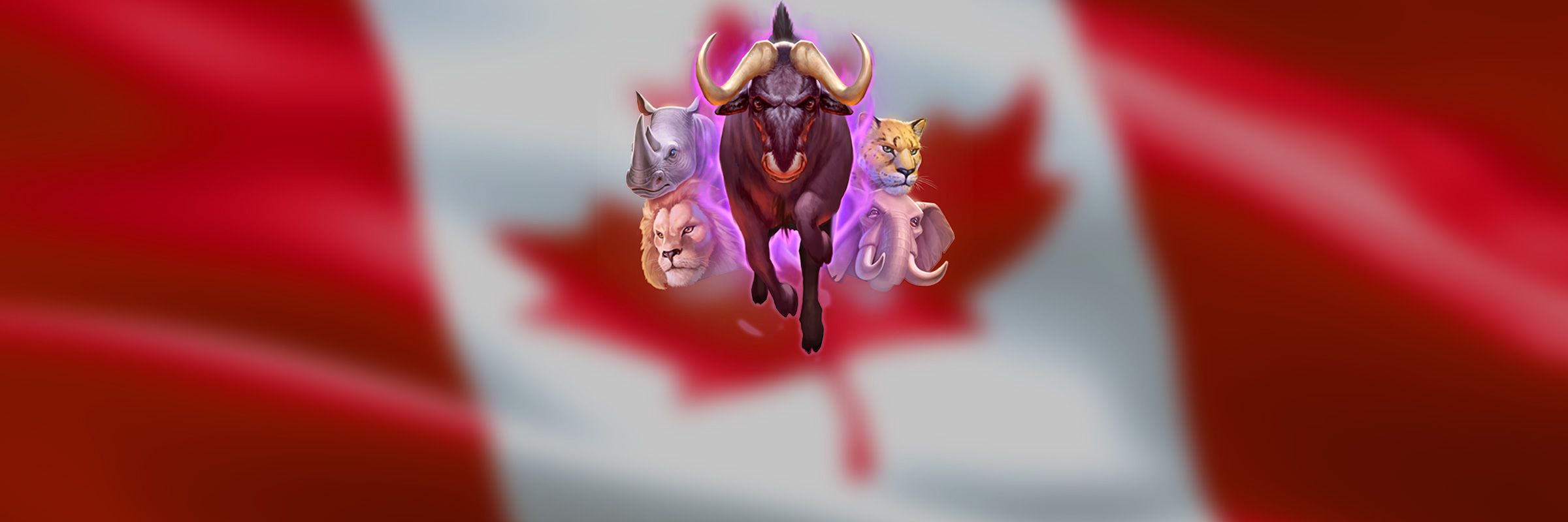 Play'n Go Enters Canada After Obtaining Ontario Licence
