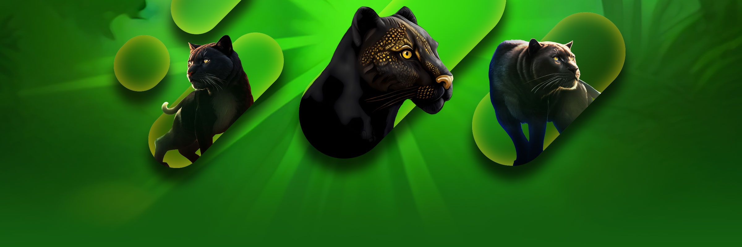 Enjoy Wazdan’s Mighty Wild: Panther Online Slot