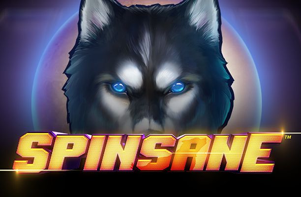Spinsane Slot
