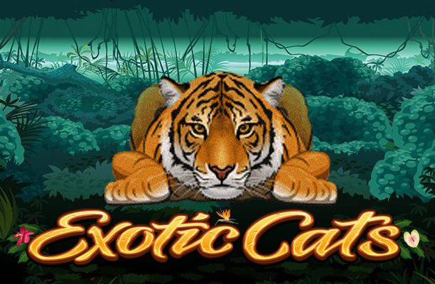Exotic Cats Slot