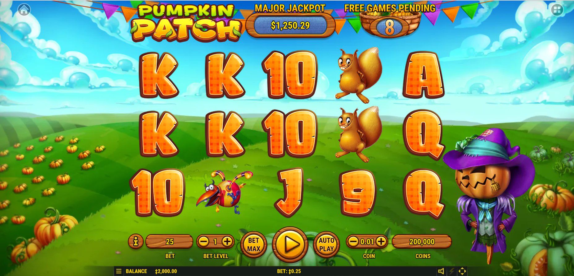 Pumpkin Patch