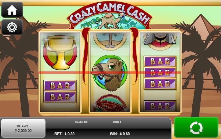 Crazy Camel Cash