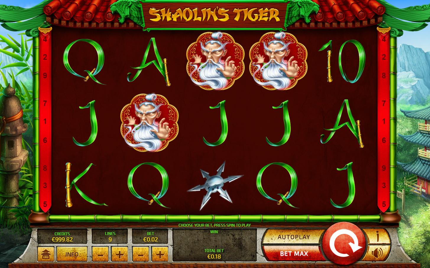 Shaolin's Tiger