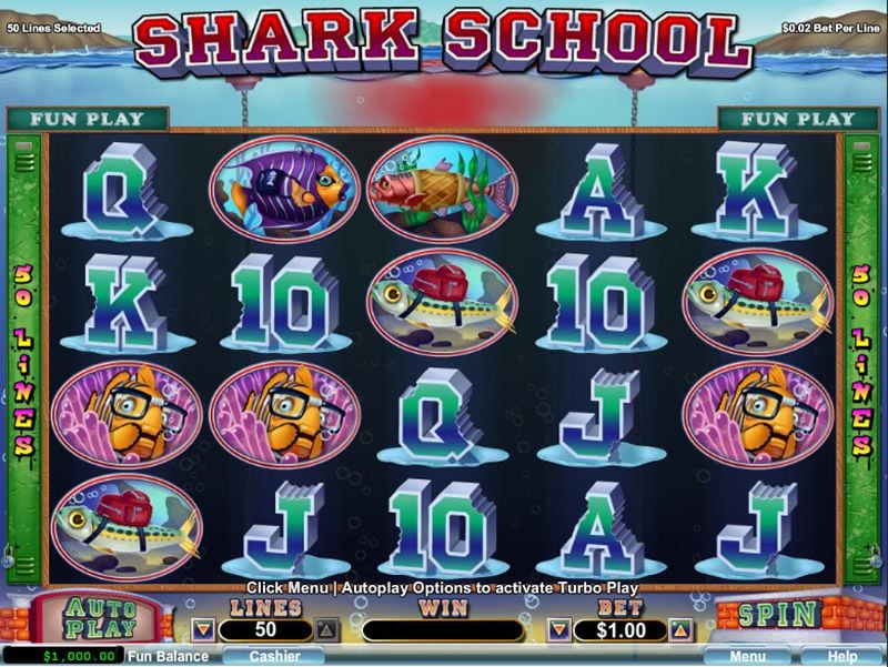 Shark School