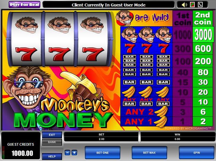 Monkey's Money