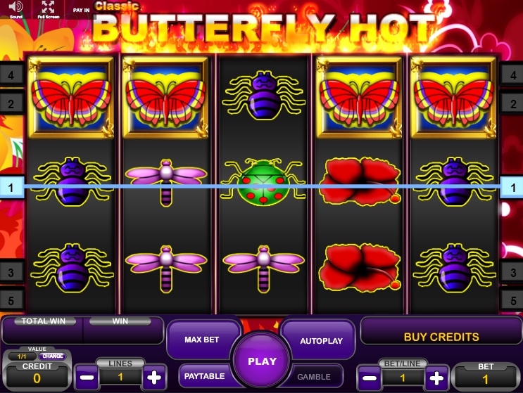 Butterfly Hot