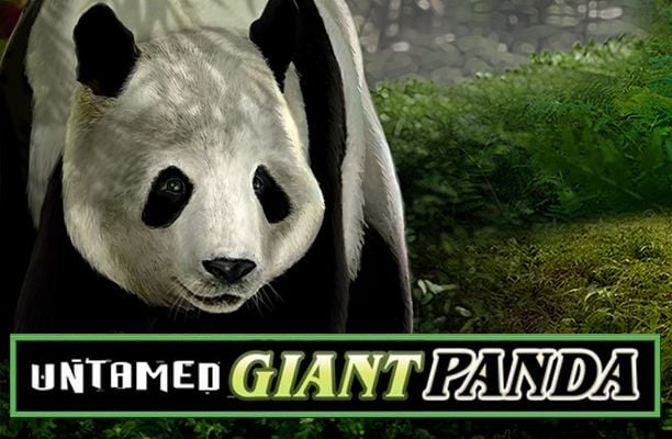Untamed Giant Panda Slot