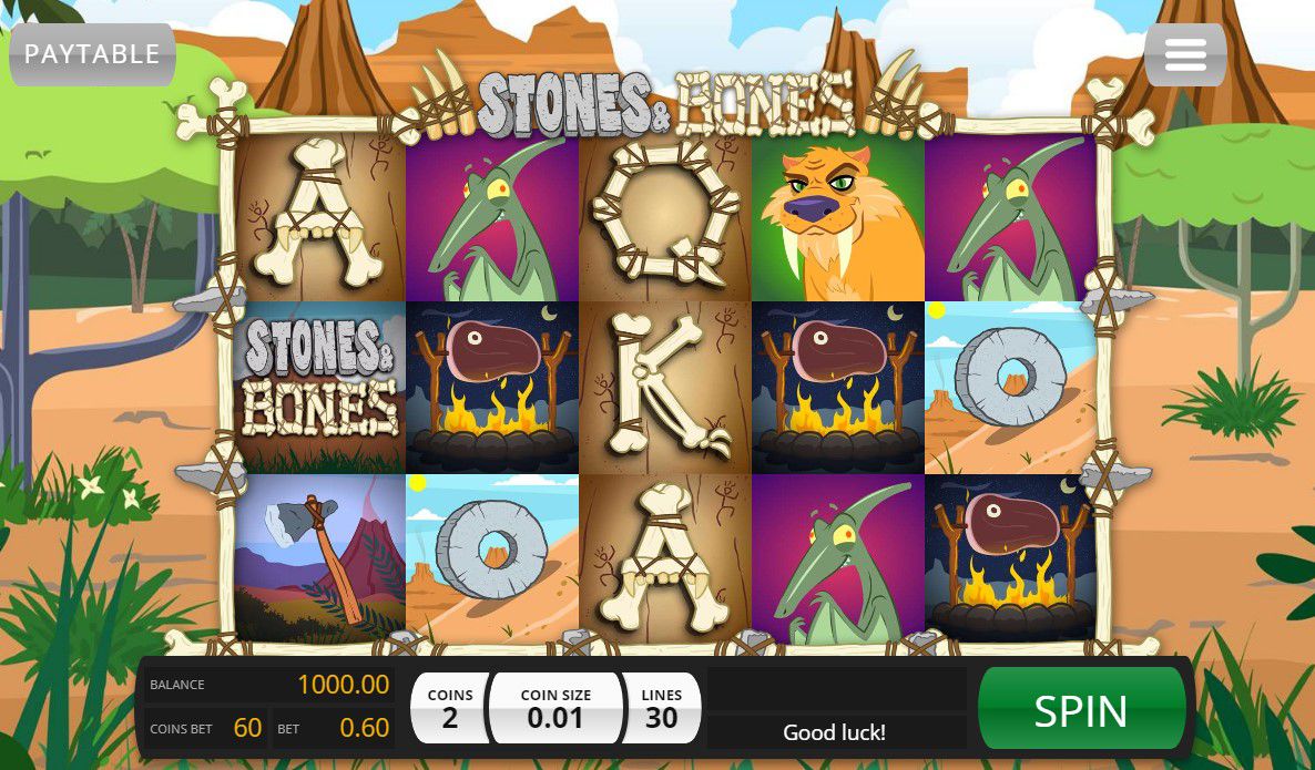 Stones and Bones