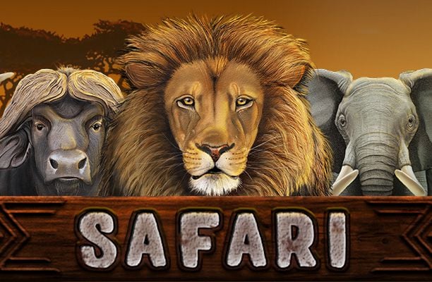 Safari Slot