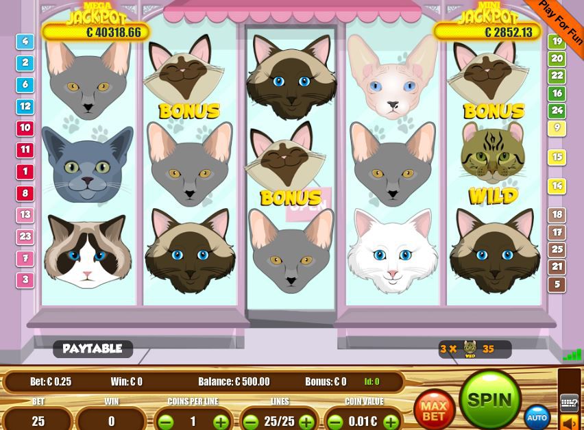 Cats