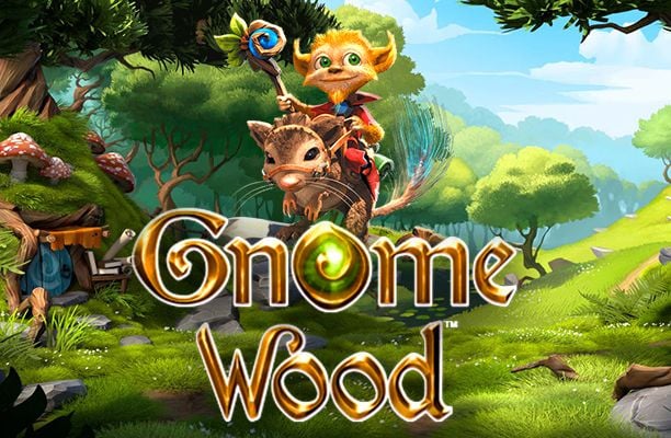 Gnome Wood Slot