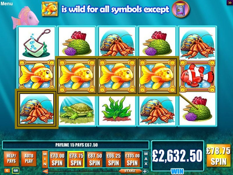 Gold Fish