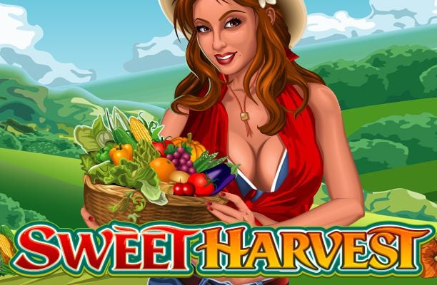 Sweet Harvest Slot