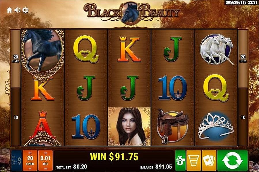Black Beauty Review 🥇 (2024) RTP & Free Spins