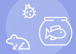 7 Animals Believed to Bring Good Luck around the World