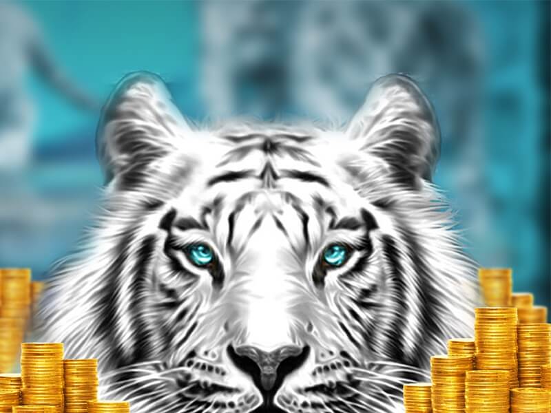 Players at LeoVegas are on the Winning Streak and Giving to Charity