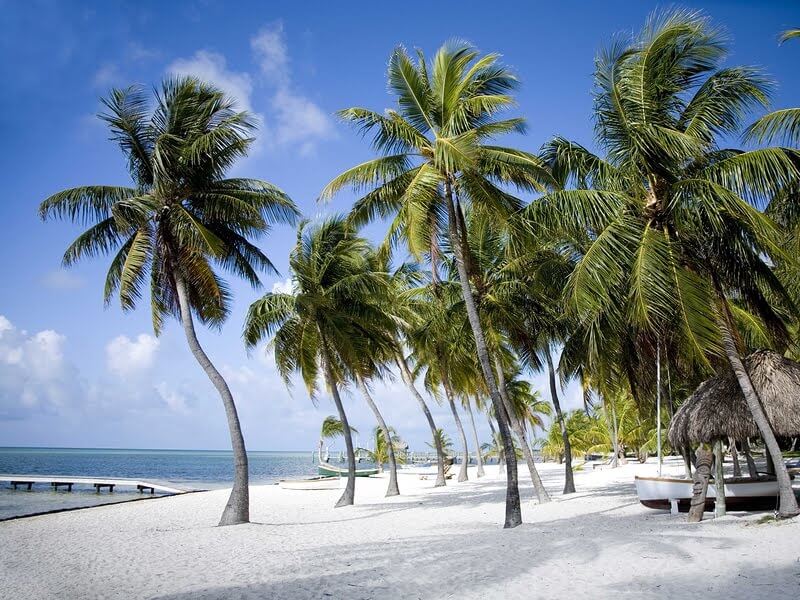 Largest gambling win ever