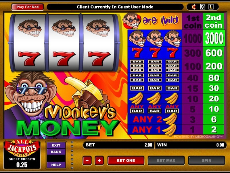 Monkeys Money