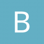 Bitslayer