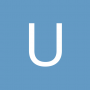 Ultrasonic