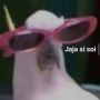 user_avatar