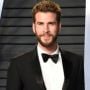 TheHemsworth